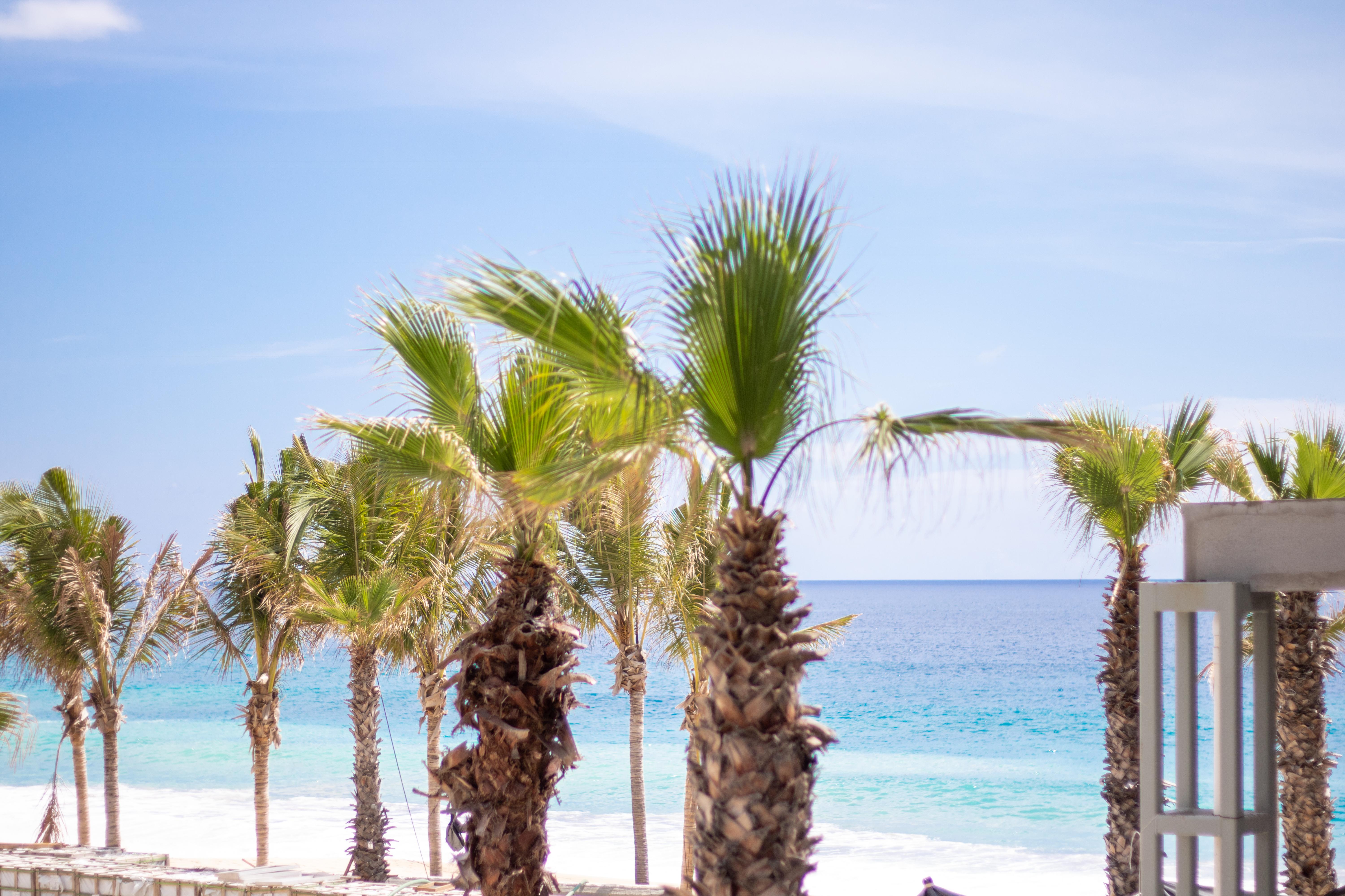 Garza Blanca Resort & Spa Los Cabos Cabo San Lucas Bagian luar foto